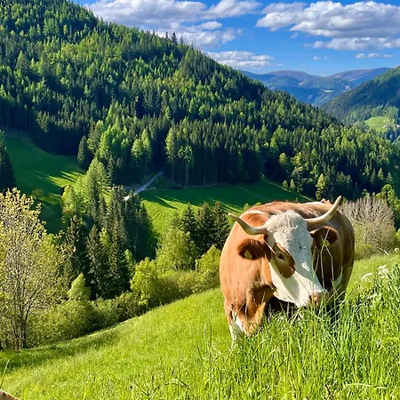 Heubett In Bauernscheune - Schlafen Im Bergheu